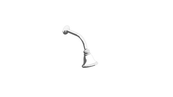 Chuveiro com Tubo de Metal Pequeno - Image 2