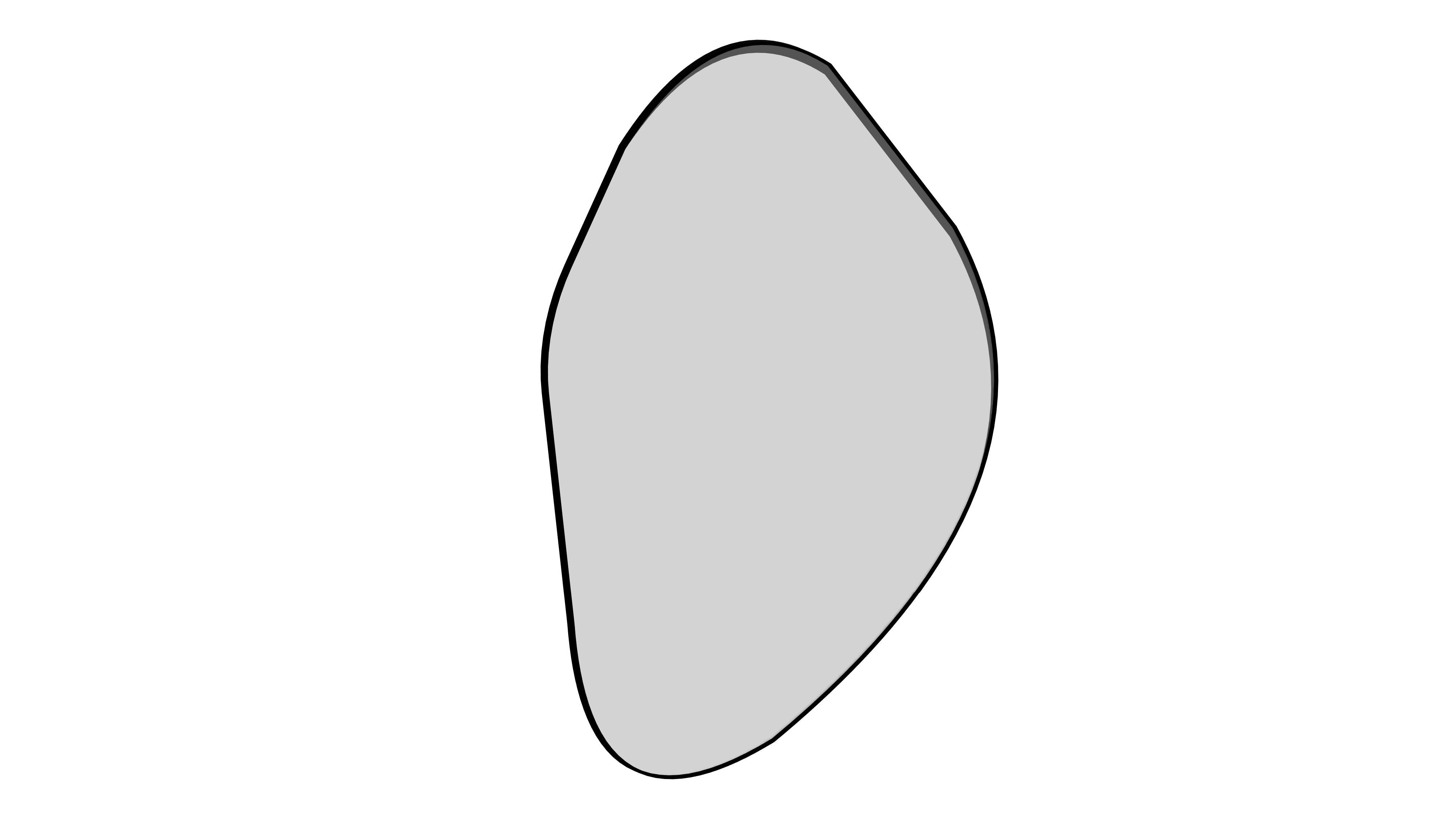 Espelho Parede Orgânico